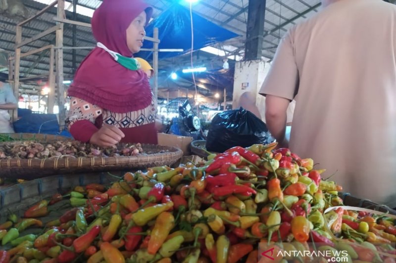 Harga cabai rawit domba di Cianjur diperkirakan bertahan tinggi hingga Lebaran