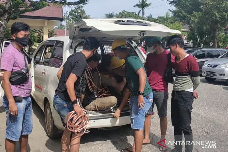 Polisi Kolaka amankan empat pelaku pencurian kabel PLN