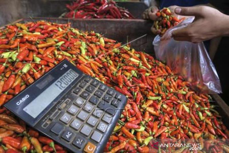 Harga Cabai Rawit Merah Masih Tinggi