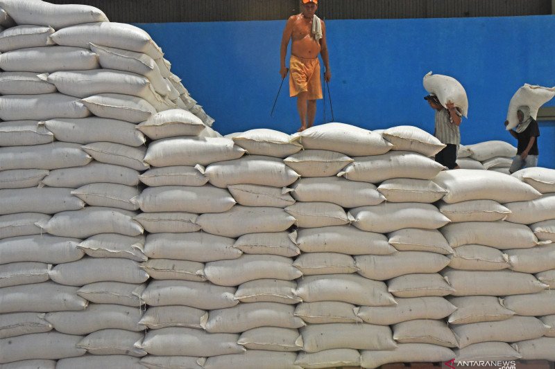 Pemerintah diminta tinjau kembali rencana impor beras