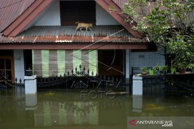 Banjir Di Makasar