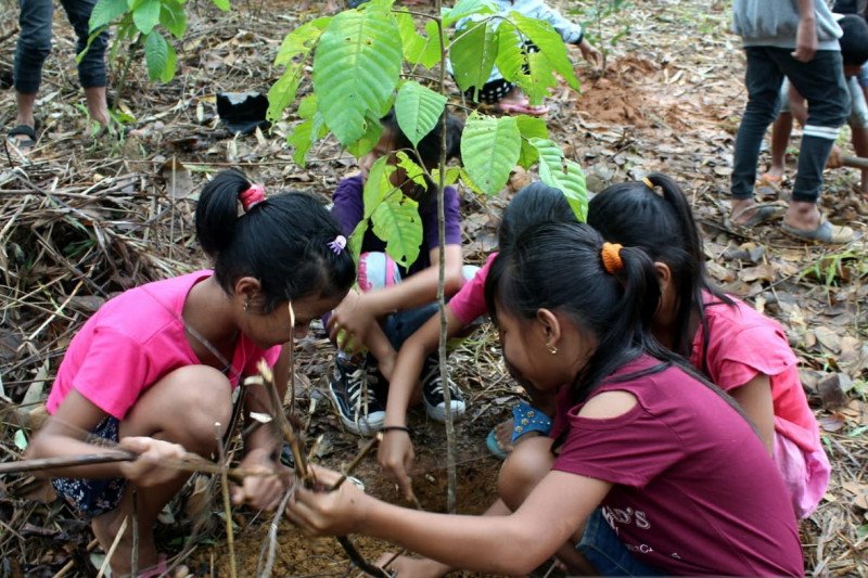 Pegiat Lingkungan Lestarikan Tumbuhan Di Kalteng Melalui Taman