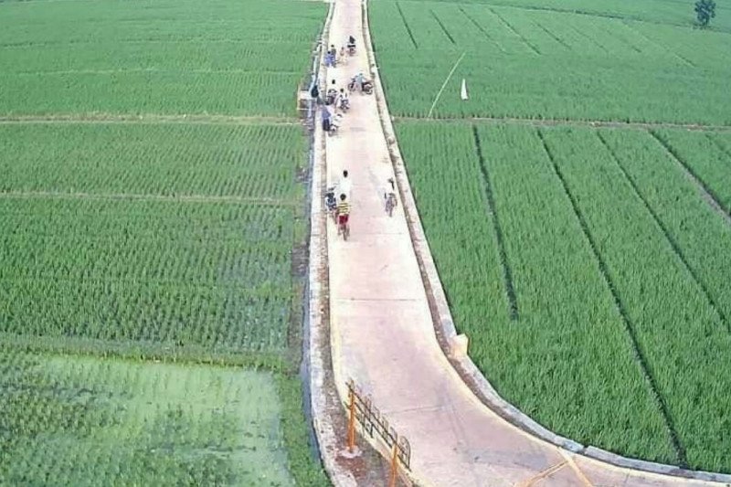 Pokdarwis GerebeQ Ayem Desa Mataram Baru buat wisata sawah