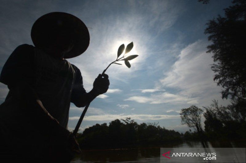 Rehabilitasi Bekas Penambangan Pasir