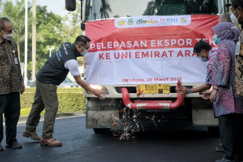 Jawa Barat ekspor 20 ton teh ke Uni Emirat Arab