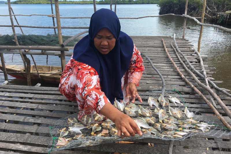 Hasil “ngedek” jadi ikan asin