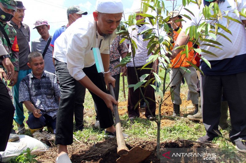 Gerakan Menanam Buah di Dumai