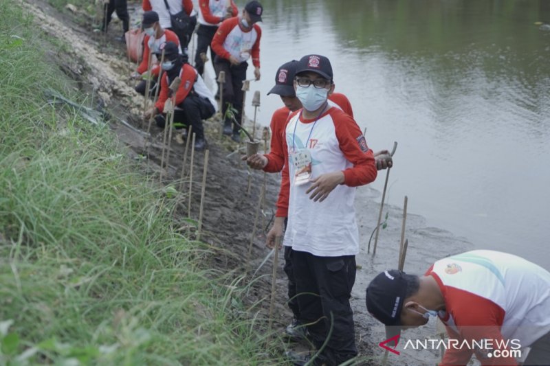 Tagana tanam 2,7 juta mangrove minimalisir dampak 