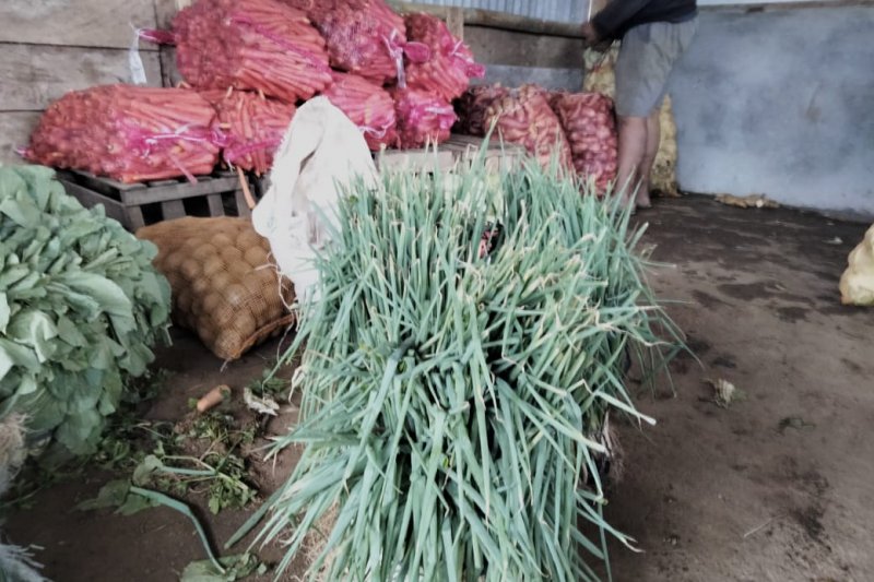 Pedagang pengepul buang sayuran yang tak laku Lambar