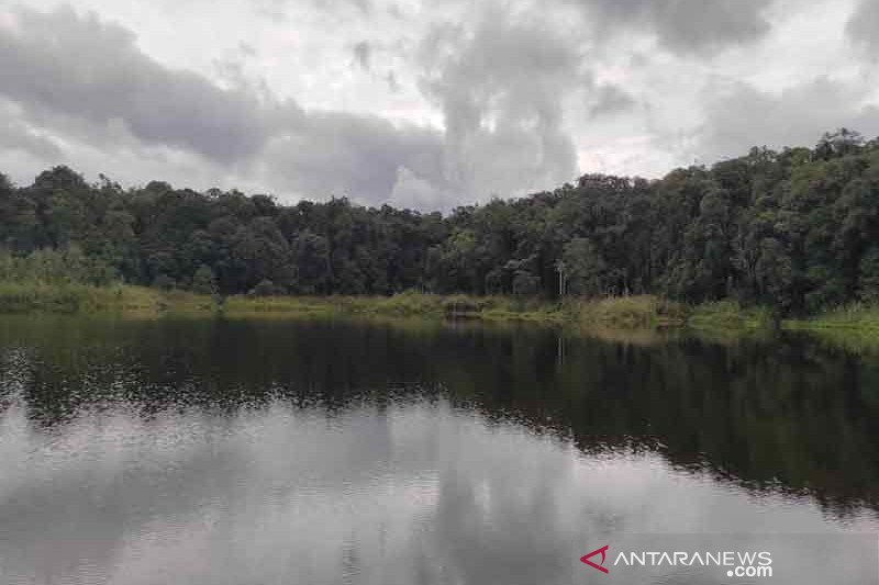 TNLL masih pertimbangkan buka kembali obyek wisata Danau Tambing