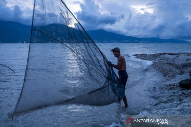 Musim tangkap ikan udang kecil  di Pantai Teluk Palu