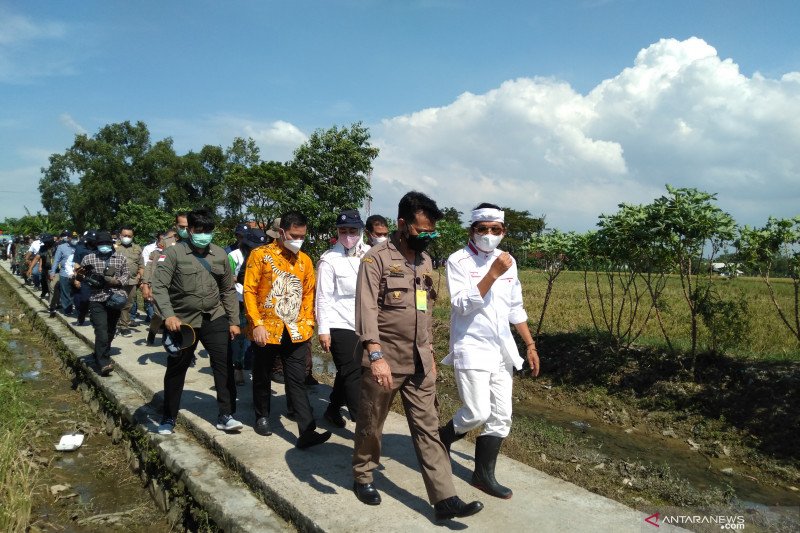 Mentan sebut serapan gabah maksimal untuk stabilisasi harga