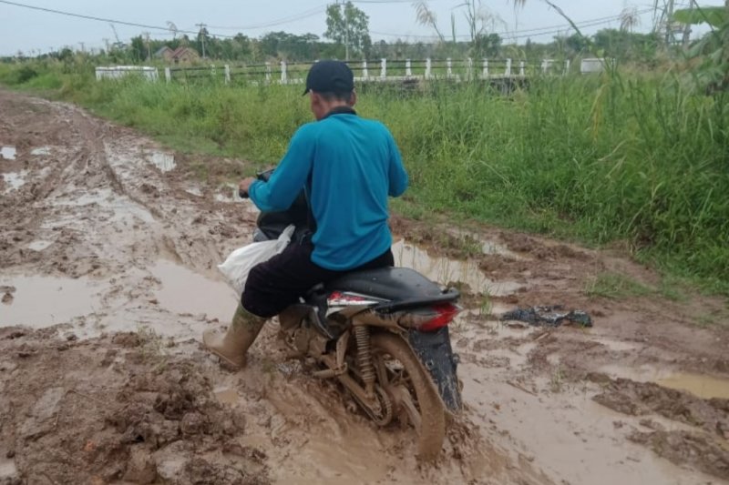 Jalan Rusak berlumpur di Desa Sumber Makmur, penghubung ke Desa Mulya Sari, Kecamatan Mesuji, Kabupaten Mesuji, Lampung