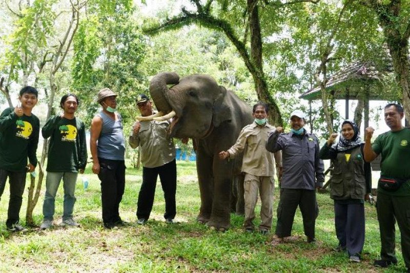 Komipo Indonesia collaborates with the RuKo to distribute aid to PKG Way Kambas