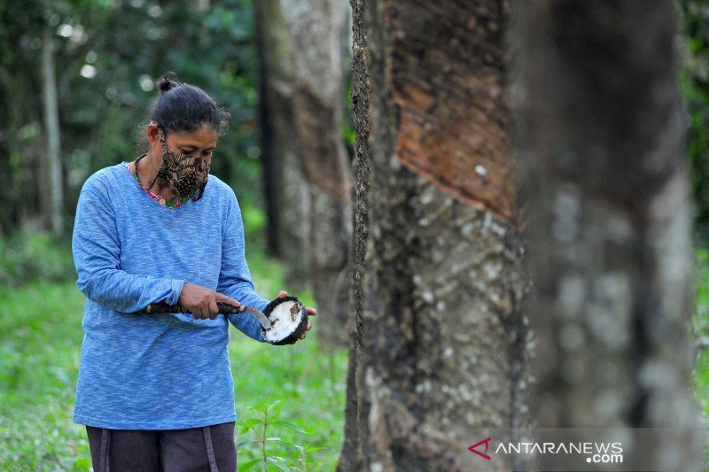 Musi Banyuasin bentuk rumah perlindungan pekerja perempuan