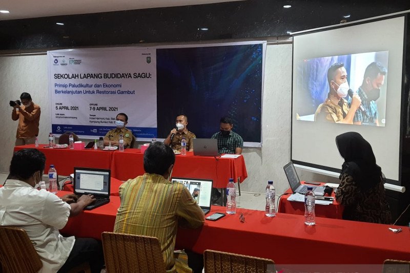 120 hektare lahan gambut di Sungai Apit bakal ditanami Sagu, begini penjelasannya