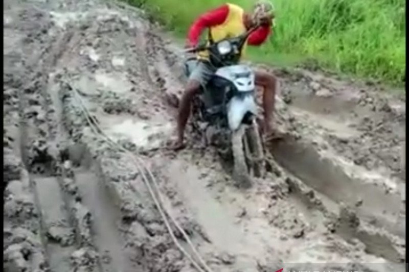 Jalan Desa Sumber Makmur di Kabupaten Mesuji becek dan berlumpur 