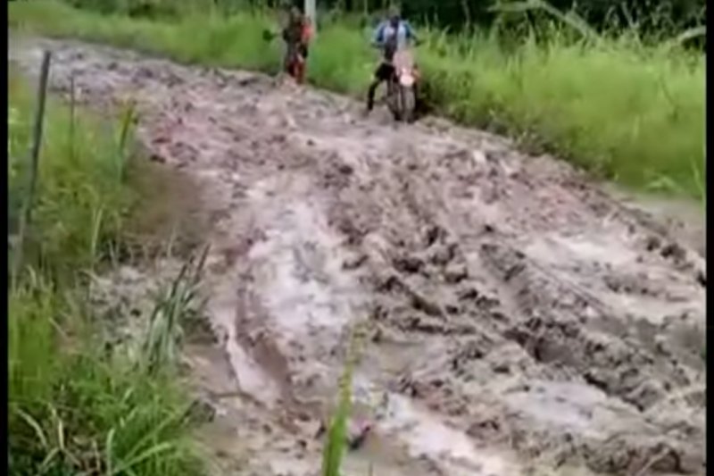 Jalan Desa Sumber Makmur di Kabupaten Mesuji becek dan berlumpur 