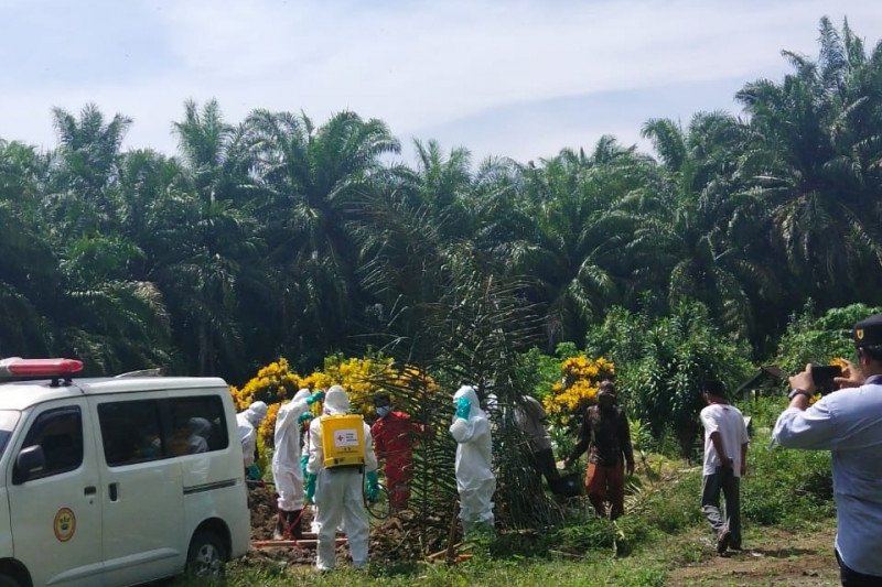 Di Pasbar, korban COVID-19 bertambah, dua orang meninggal, tiga positif
