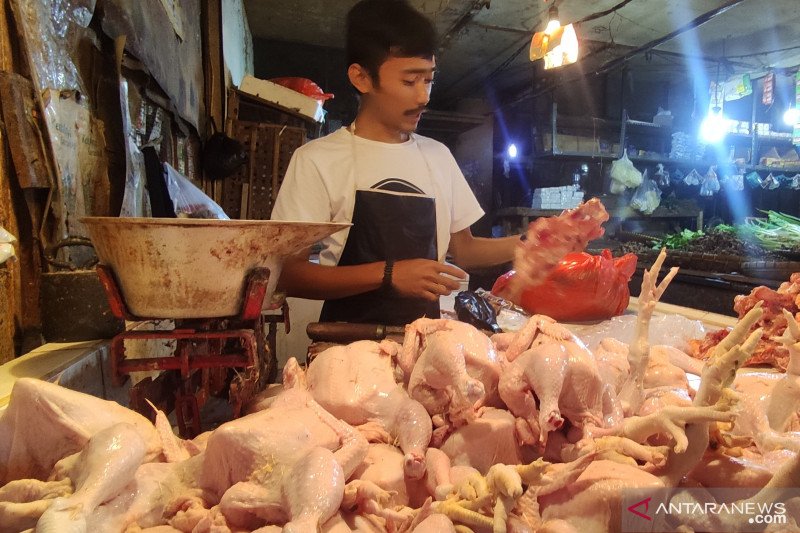 Harga daging ayam di Cianjur merangkak naik jelang puasa