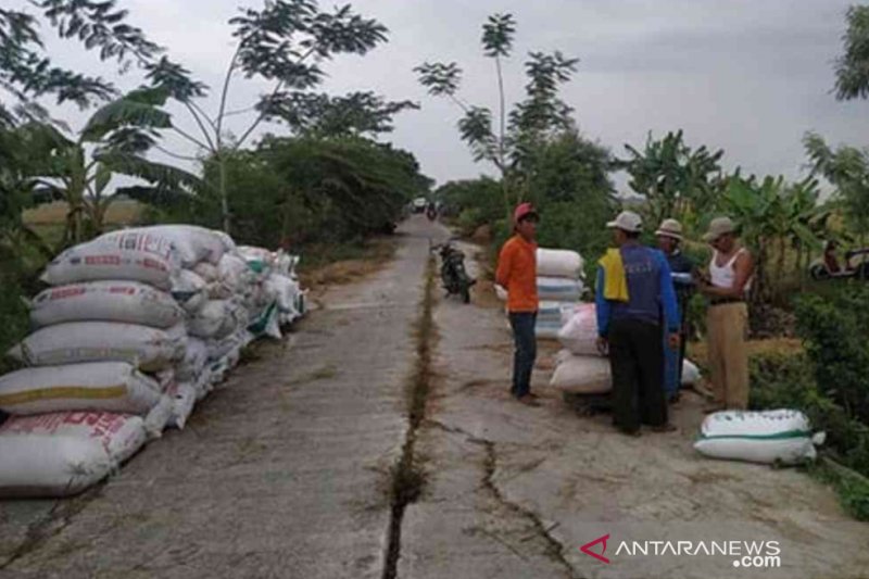 Harga gabah di Kabupaten Bekasi anjlok akibat banjir