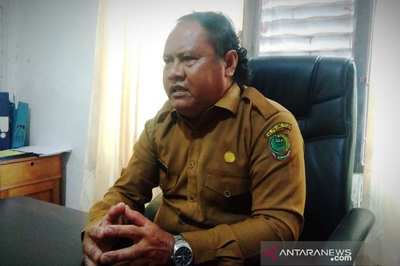 Populasi sapi di Pulang Pisau diprediksi menurun tanpa inseminasi buatan