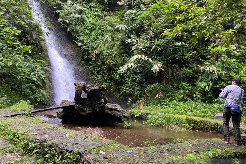 Spektrum - Menjaga habitat elang inspirator Garuda di Gede Pangrango