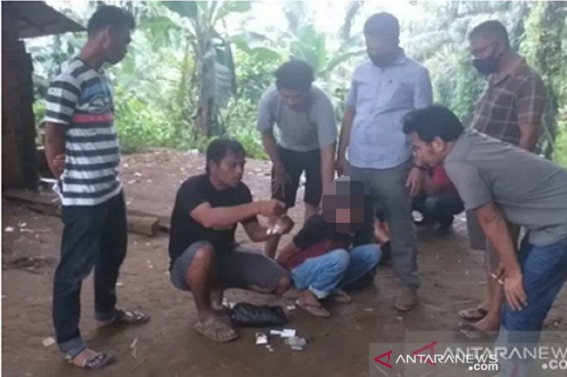 Dua orang terduga pengedar sabu dan ganja di Lembah Melintang, ditangkap polisi