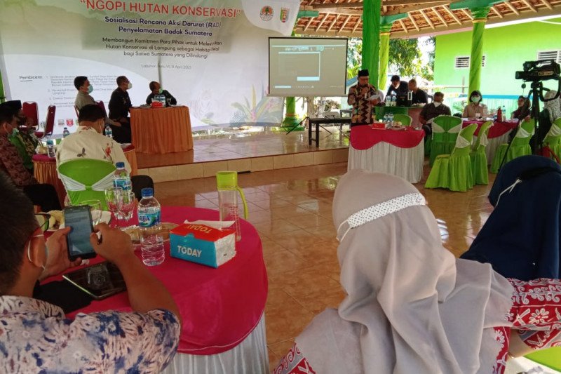 Pemprov Lampung dukung konservasi hutan Way Kambas dan TNBBS