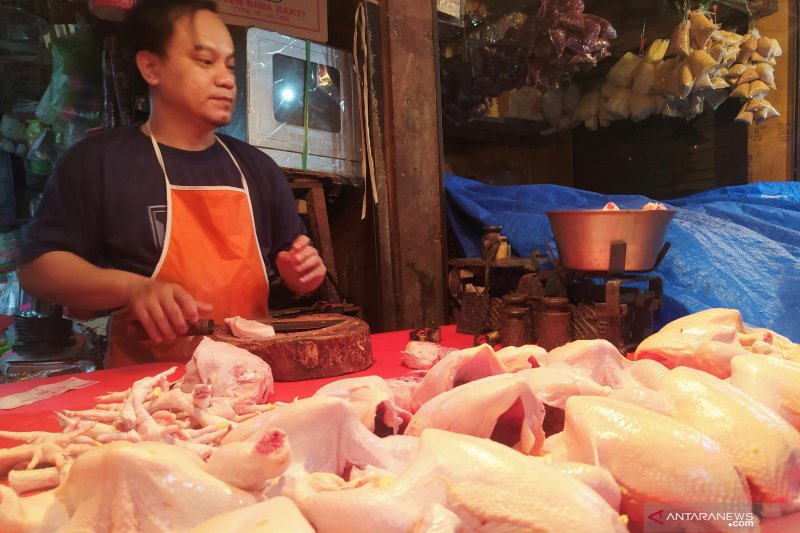 Harga daging ayam merangkak naik menjelang puasa