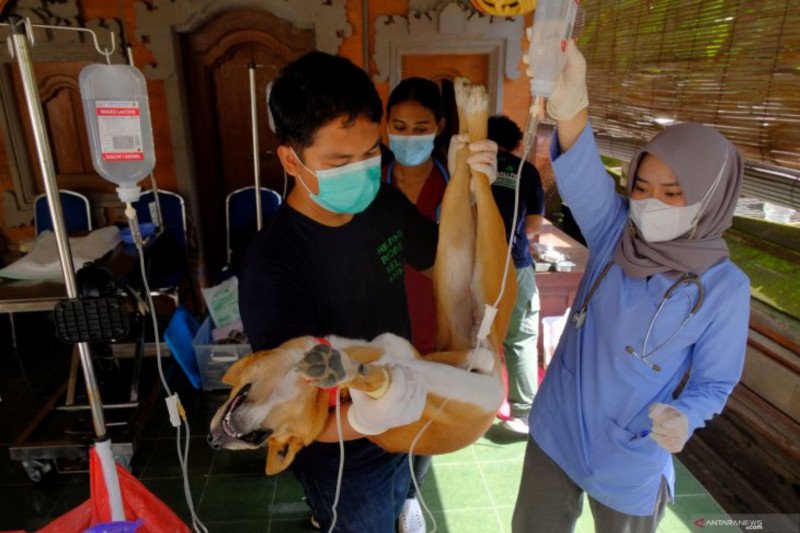 PDHI Sumsel dorong bupati-wali kota angkat pejabat otovet