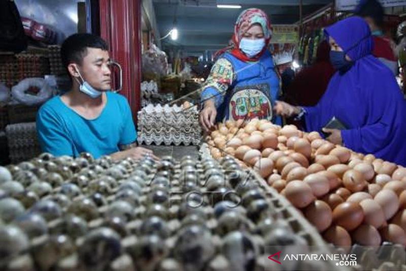 Harga Telur Ayam Naik Di Padang Antara Sumbar