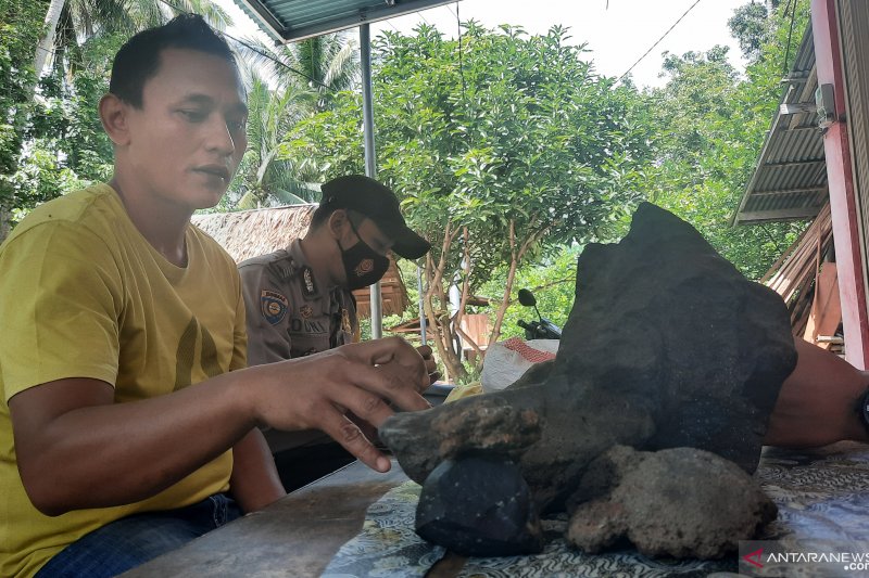 Ini dugaan warga Padang Pariaman, atas temukan batu seberat delapan kilogram di kebun pepaya (Video)