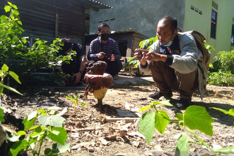 Sekuntum bunga bangkai tumbuh di pekarangan rumah warga Tanjungpinang