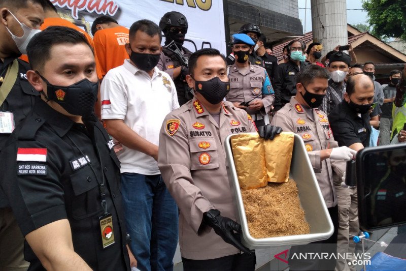 Polisi Bogor Kota bongkar produksi tembakau gorila