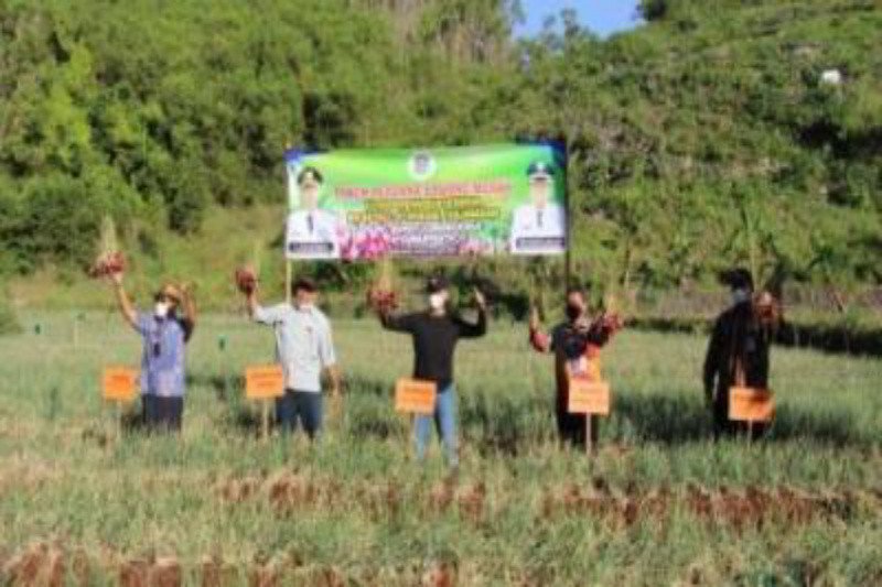 Gunung Kidul dukung petani pesisir tanam bawang merah