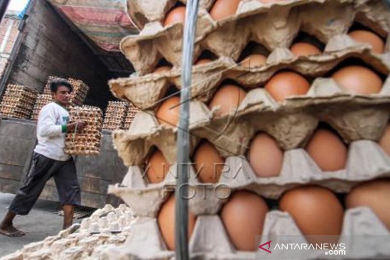 Harga Telur Ayam Naik Jelang Lebaran