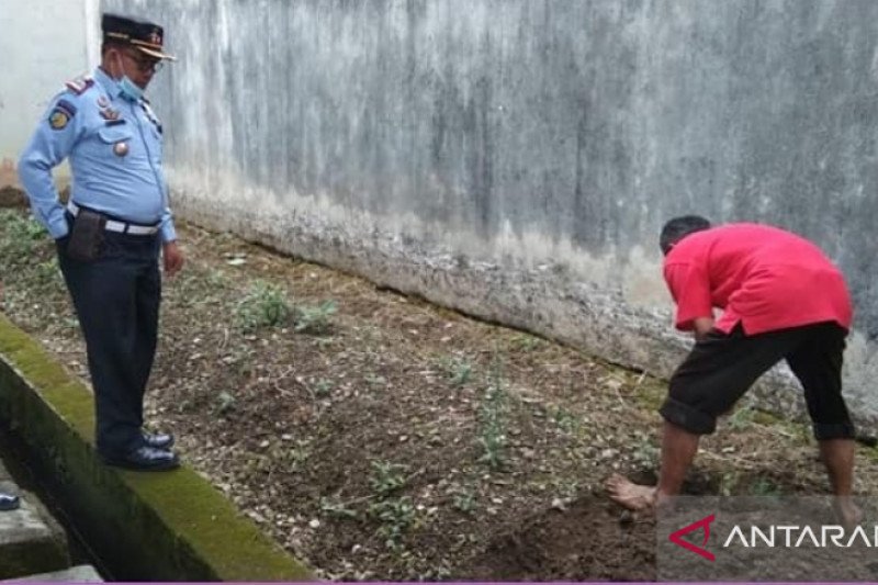 Di Lapas ini warga binaan pemasyarakatan diajar bercocok tanam dan memelihara ikan