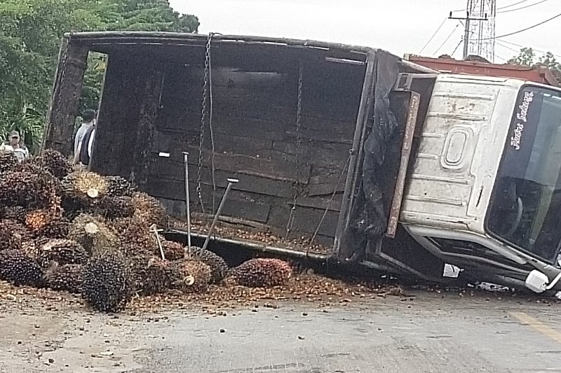 Truk sawit terbalik di tengah Jalan Lintas Sumatera wilayah Mesuji