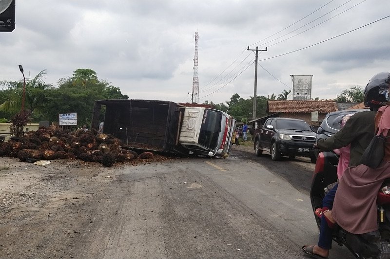 Truk sawit terbalik di tengah Jalan Lintas Sumatera wilayah Mesuji