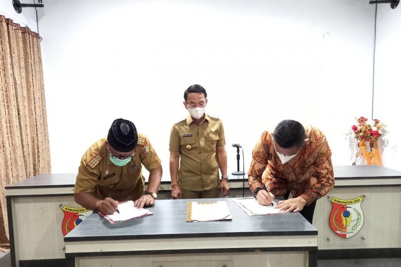Pemkab Sigi gandeng swasta optimalkan budi daya sapi pedaging