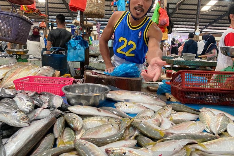 Tinggi Permintaan Ikan Segar Di Tanjungpinang Antara News Kepulauan