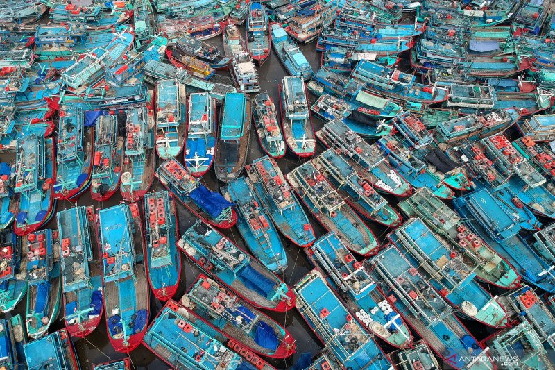 KKP koordinasi dengan Pemda urai penumpukan kapal di Tegal
