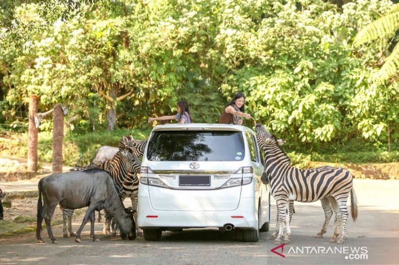 TSI Cisarua terapkan prokes ketat kepada pengunjung saat libur