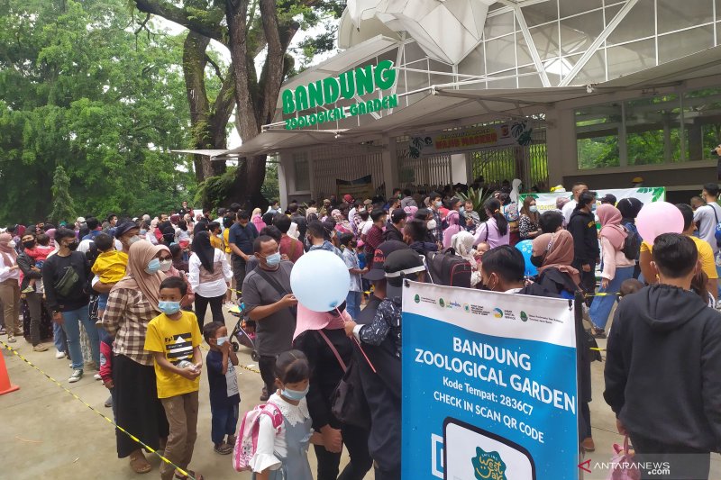 Pengunjung Kebun Binatang Bandung meningkat di akhir libur Lebaran