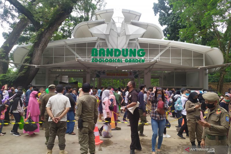 Calon pengunjung Kebun Binatang Bandung positif COVID-19