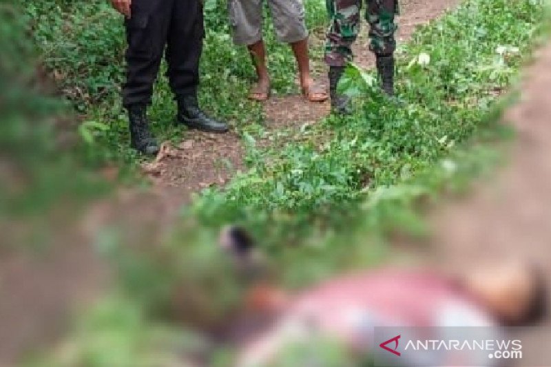 Sengketa lahan di Lampung Timur, satu korban meninggal