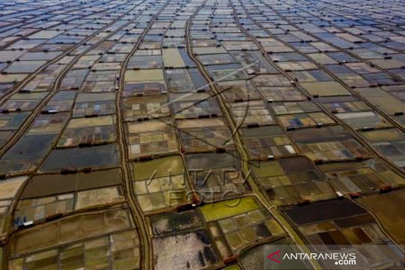 Kebutuhan Garam Untuk Industri Makanan Dan Minuman nasional