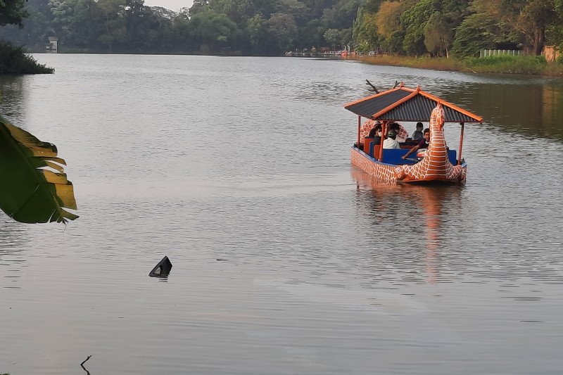 Evakuasi bangkai helikopter latih jatuh tunggu KNKT