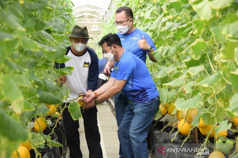 Kemenkop-UKM kembangkan model korporatisasi petani